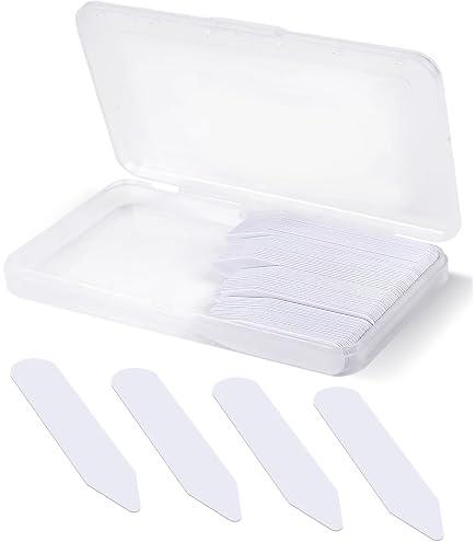 100 Plastic Collar Stays For Men Dress Shirt in Plastic Box 2 Inches : Clothing, Shoes & Jewelry