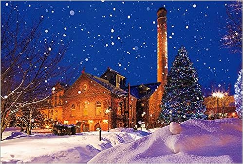 本の【Amazon.co.jp 限定】雪のサッポロビール園 ポストカード3枚セット P3-176の表紙