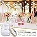 1.5 oz Hexagon Mini Glass Jars with Gold Lids and Labels (Pack of 24)