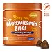 Multivitamin for Dogs - Glucosamine & Chondroitin + MSM for Hip & Joint + Arthritis - Fish Oil for Skin & Coat + Digestive Enzymes & Probiotics + CoQ10 Dog Vitamins - Peanut Butter - 90 Chew Treats primary