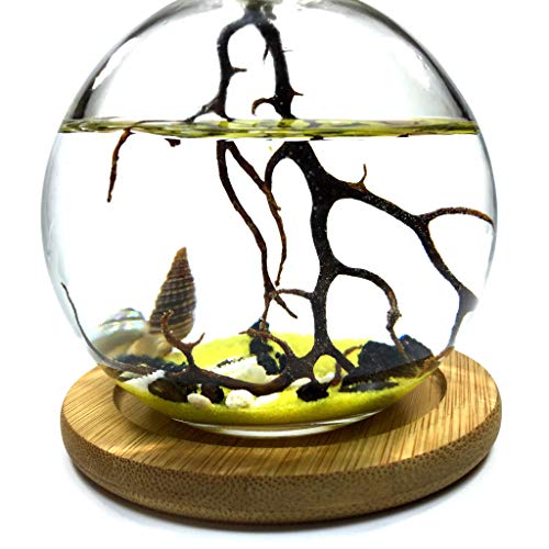 SHRIMP BUBBLE Base - Natural Bamboo - Thumbnail 4