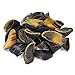 Full-Size Cow Hooves for Dogs (25 Pack) | All-Natural Long Lasting Dog Chews | Made from Grass Fed Cattle | Tasty Treat for Oral Hygiene | Fantastic Alternative for Rawhide and Bully Sticks