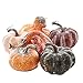 Factory Direct Craft Package of 6 Assorted Shape and Color Artificial Frosted Gourds and Pumpkins for Halloween, Fall and Thanksgiving Decorating