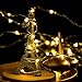 Wellgium Solar String Lights, 33ft 100LED Outdoor String Lights 8 Modes, Waterproof Decorative String Lights for Patio, Garden, Gate, Yard, Party, Wedding, Christmas (Warm White)-Pack of 2