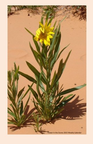 Flower in the Dunes 2015 Weekly Calendar: 2015 week by week calendar with a cover photo of a yellow flower growing in sand dunes
