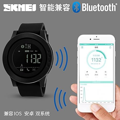 skmei 1255 price