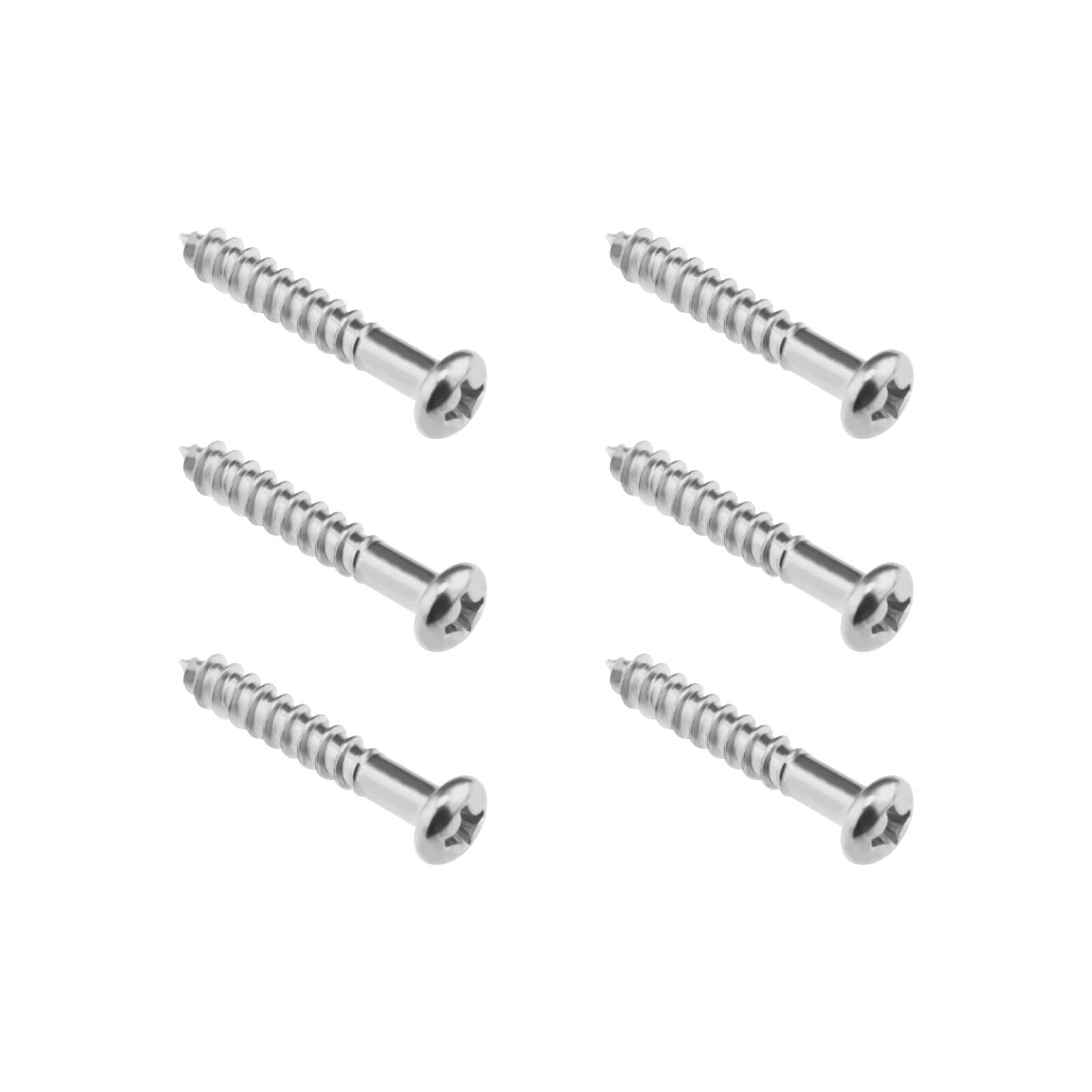 LT Easiyl 6pcs Tremolo Bridge Screws PRS Style Electric Guitar Bridge Mounting Screws Alloy Steel Screws for Electric Guitar Neck Plate Back Covers, Silver