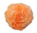 WD2U 3 in 1 Chiffon Rose Silk Flower Hair Bow Alligator Clip Brooch Pony Tail