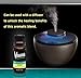 Holistic Congestion, Sinus & Respiratory Blend Of 6 Essential Oils: Lavender, Peppermint, Eucalyptus, Rosemary, Sage & Cedarwood | Natural, 100% Pure, Undiluted