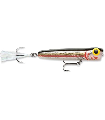 Storm CB081301 1/4-Ounce 2-1/2-Inch Chug Bug Fishing Lure, Bleeding Tenn Shad Finish, Multi, One Size : Fishing Topwater Lures And Crankbaits : Sports & Outdoors