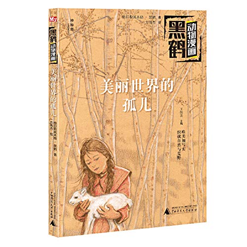 美丽世界的孤儿 黑鹤动物漫画 格日勒其木格 黑鹤 Amazon Com Books