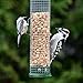 Gray Bunny Premium Steel Sunflower Seed Feeder and Peanut Feeder, 15