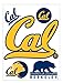 me & my BIG ideas laptopSTICKS Removable Laptop Stickers, California-Berkeley (Cal) Golden Bears