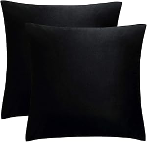 JUSPURBET Decorative Velvet Throw Pillows Covers for Couch Bed Sofa,Pack of 2 Soild Soft Cushion Cases,26x26 Inches,Black