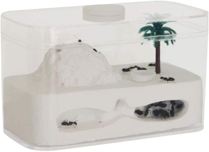 FXQIN Ant Castle, Ant Gypsum Nest, Ant Farm with Ant Nest Rockery, Live Ant Viewing Habitat, Ant Workshop, Nature Learning Toy, Live Ants Not Included