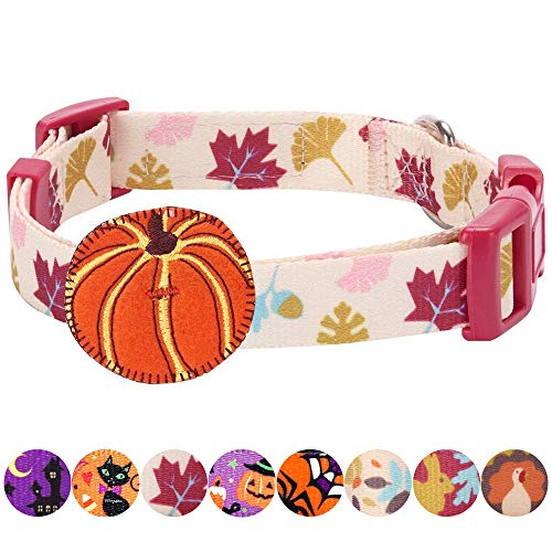 Blueberry Pet 8 Patterns Thanksgiving Fall Obsession Ginkgo Biloba Leaf Designer Adjustable Dog Collar with Pumpkin, Small, Neck 12″-16″