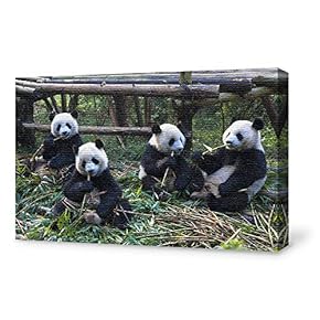 Canvas Wall Art for Living Room,Bedroom Home Artwork Paintings Cute Panda Ready to Hang - 12x18 inches