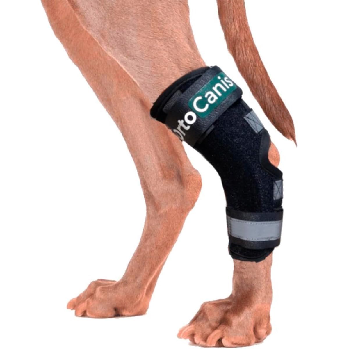Ortocanis Hock splint brace for dogs- immobilises, protects, supports the ankle - removable flexible splints.