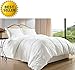 CELINE LINEN Luxury Ultra Plush Down Alternative Double-Filled Comforter, Full/Queen, White