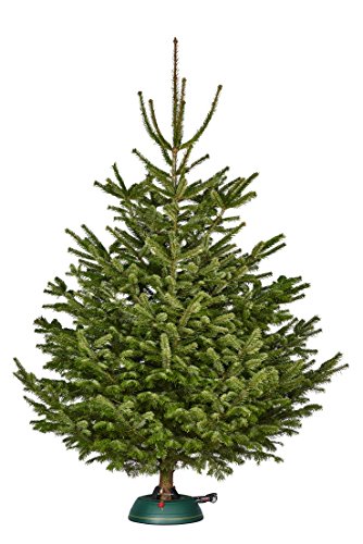 Krinner Tree Genie M Stand - Image 6