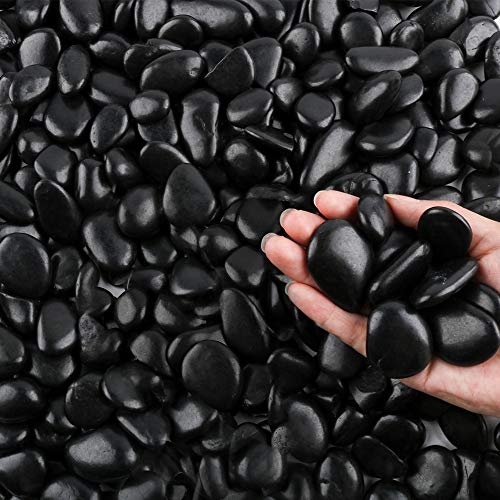 CJGQ 20 lb Bulk Bag Black Pebbles for Plants Aquarium Gravel Fish Tank
