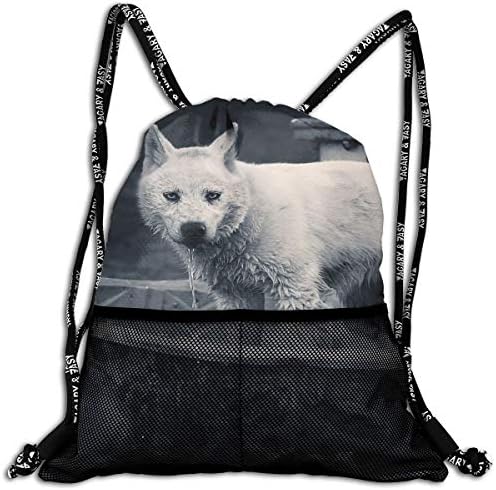 Animalli.com-Animals-Geographic-National-Animal-Pictures-Meme Unisex Large Sport Sack Drawstring Backpack Waterproof Stadium Shoulder Bags Home Travel School Storage Rucksack