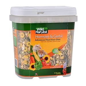 Product image for barcode 026851835431