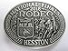 Hesston 2018 National Finals Rodeo NFR Adult Belt Buckle (4