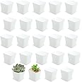 OJYUDD 3inch White Square Plastic Pots with Saucer, Drainage Hole, 24 Pcs, for Flower/Plant, Home,Company,Office and Garden(White)