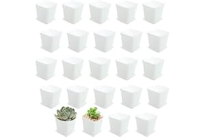 OJYUDD 3inch White Square Plastic Pots with Saucer, Drainage Hole, 24 Pcs, for Flower/Plant, Home,Company,Office and Garden(White)