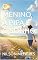 Livro O MENINO, A PIPA E O SONHO