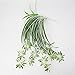 Crt Gucy Artificial Plants Silk Greenery Chlorophytum Leaves Tropical Grass Fake Plants For Home Kitchen Dining Table Garden Wedding Mini Pot Outdoor Décor