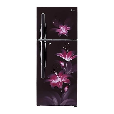 LG 260 L 2 Star Smart Inverter Frost-Free Double-Door Refrigerator (GL-T292RPGY, Purple Glow, Convertible)