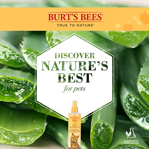 Burt's Bees for Pets Cat Natural Dander Reducing Spray with Soothing