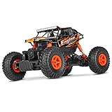 Theefun 1:18 RTR RC Rock Crawler 2.4Ghz Remote Control Car 4WD Off Road RC Monster Truck