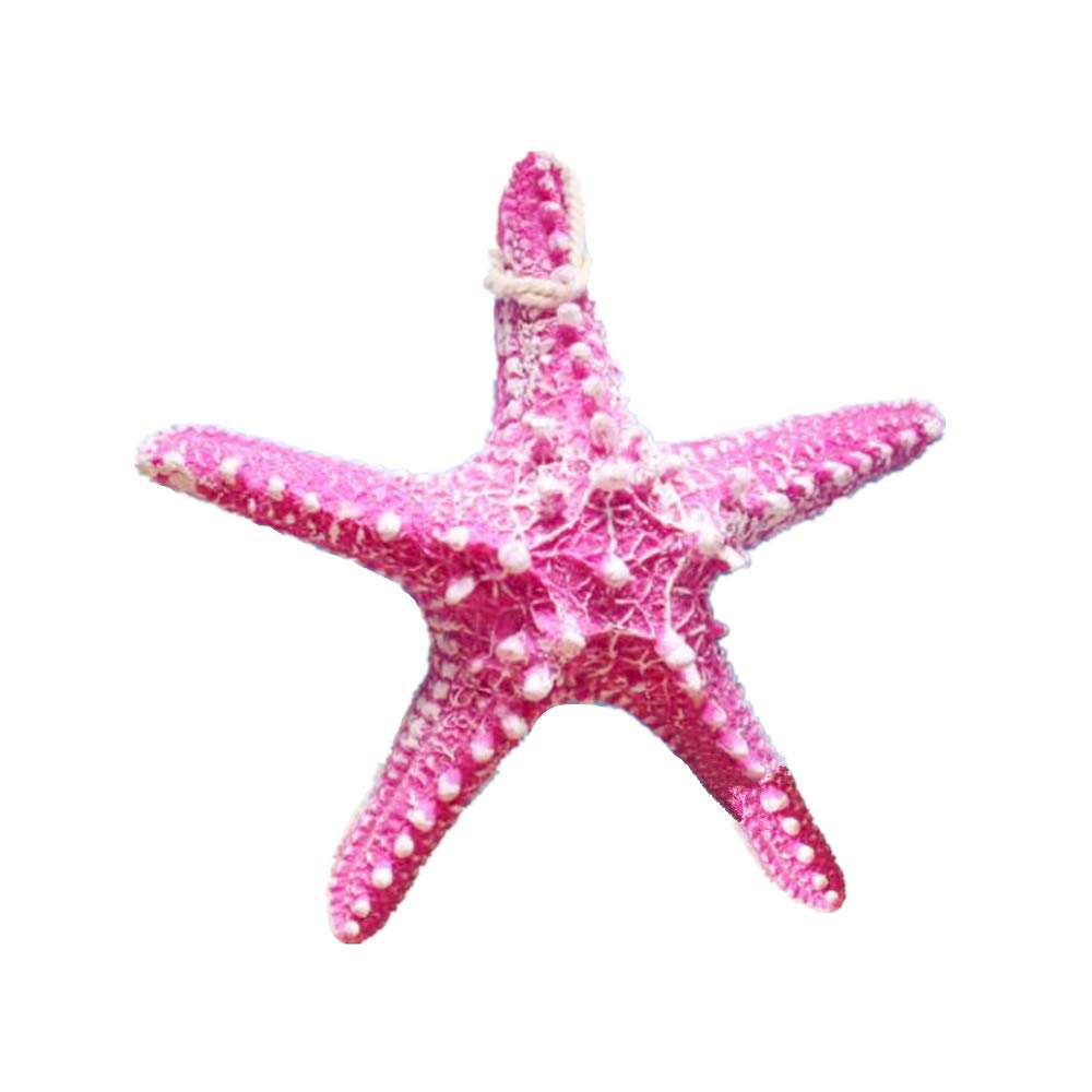 RAYLINE-DO RayLineDo Creative Mediterranean Style Design Beach Starfish Resin Five-Pointed Star in Rose Home Restaurant Kindergarten Wall Hanging Decoration