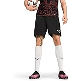 Puma Mens Individualliga 7.5" Training Shorts