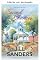 Livro Segundas chances (Silver Cove Livro 7)