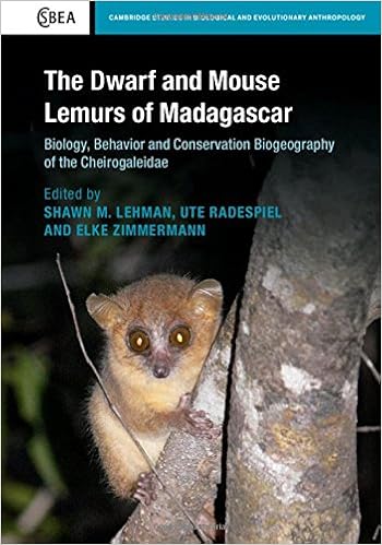 The Dwarf And Mouse Lemurs Of Madagascar Biology Behavior And Conservation Biogeography Of The Cheirogaleidae Lehman Shawn M Amazon Com Books