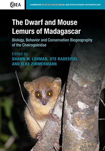 The Dwarf and Mouse Lemurs of Madagascar: Biology, Behavior and Conservation Biogeography of the Cheirogaleidae (Cambridge Studies in Biological and Evolutionary Anthropology)