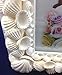 Yakri 5x7 Beach Decor Seashell Picture Frame,Complete Handmade Conch Photo Frames with Sea Shells for Wedding