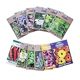 Living Whole Foods Medicinal Herb Seed Assortment - Non-GMO Healing Herb Seeds - Burdock, Cayenne, Yarrow, Chamomile, Hyssop, Echinacea, More - Indoor & Outdoor Gardening