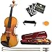 Mendini MV400 Ebony Fitted Solid Wood Violin with Hard Case, Shoulder Rest, Bow, Rosin, Extra Bridge and Strings - Size 3/4