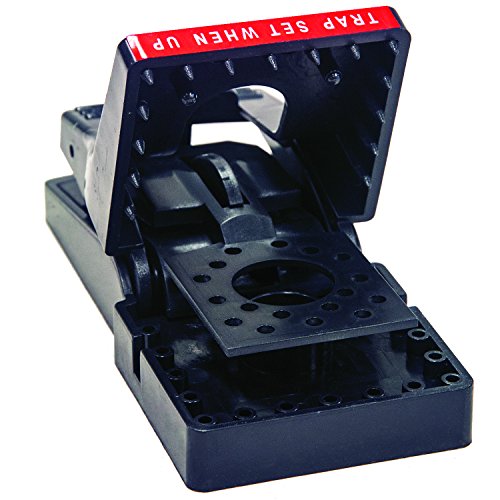 JT Eaton 410BULK Jawz Plastic Rat Trap, For Solid or Liquid Bait (Pack of 12)