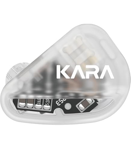 Amazon.com: TANCHJIM Kara in-Ear Headphones with High Sound