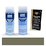PAINTSCRATCH Touch Up Paint Spray Can Car Scratch