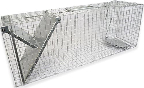 VECTORTRAP Metal cage trap with one-Door Chipmunk, Raccoon, Squirrels, Weasels, 34812", B116 - Made in Europe