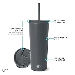 Simple Modern Insulated Tumbler with Lid and Straw