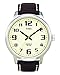 Timex Men's T28201 Brown Leather Easy Reader Watch