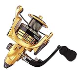 Thekuai Summer and centron Spinning Reels 13+1 BB Corrosion Resistant Bearings Smooth Powerful Fishing Reel Spinning 5.5:1 Gear Ratio Reels Left/Right Interchangeable